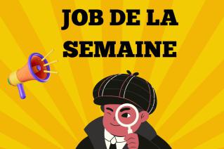 JOB DE LA SEMAINE (CHAUFFEUR PL/SPL)
